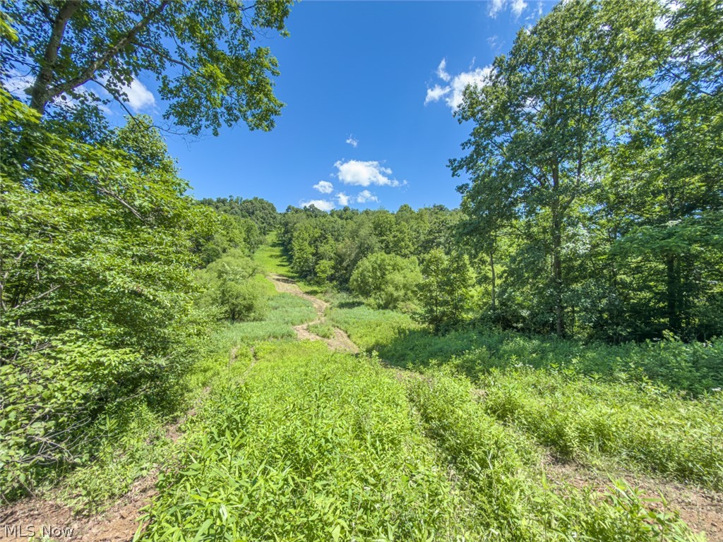 6985 Brush Run Road Cambridge OH 43725