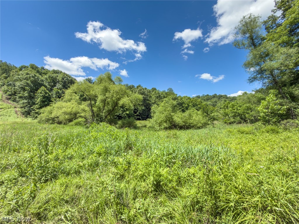 6985 Brush Run Road Cambridge OH 43725