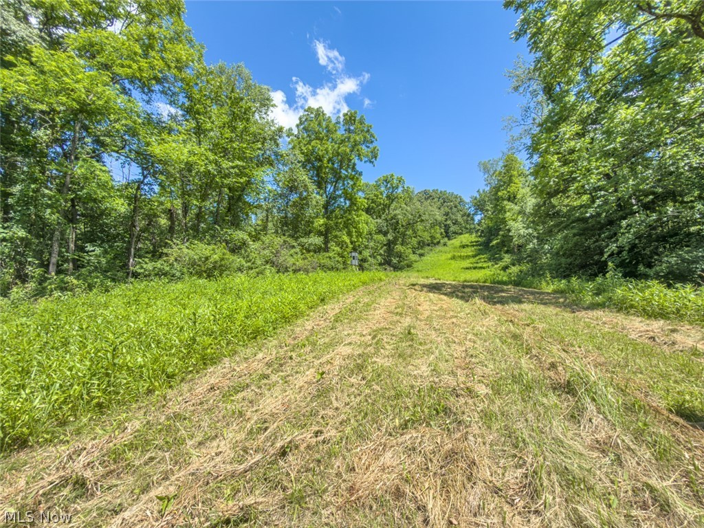 6985 Brush Run Road Cambridge OH 43725