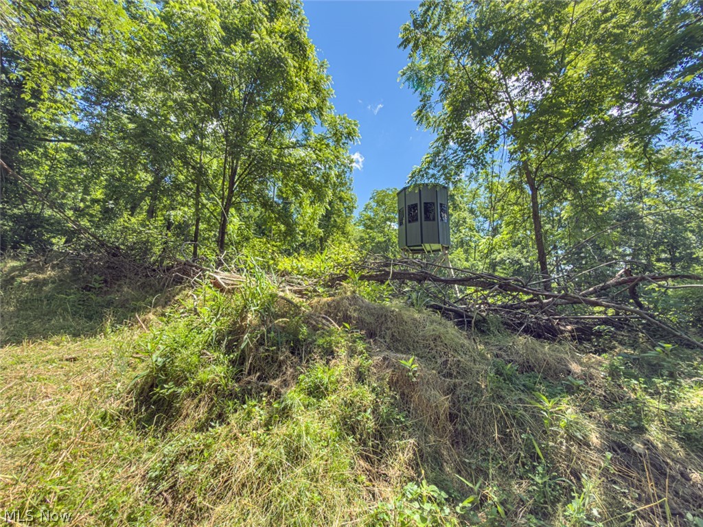 6985 Brush Run Road Cambridge OH 43725