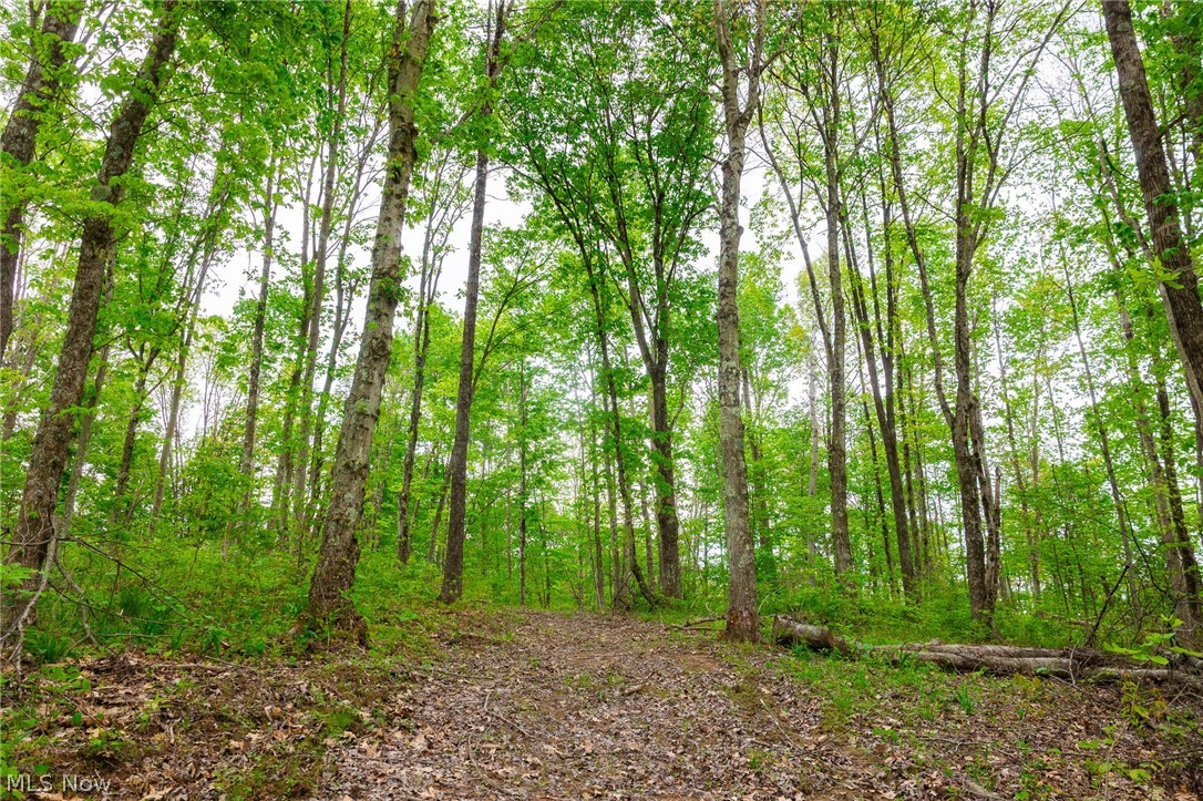 37795 Sheep Skin Ridge Lower Salem OH 45745