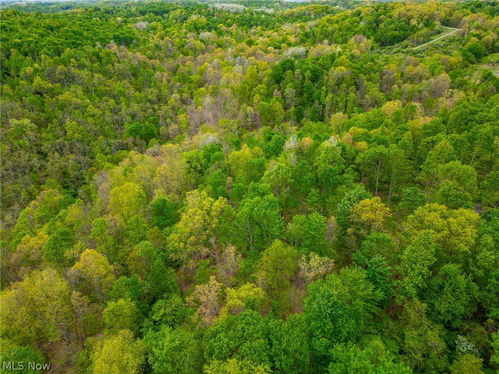 37795 Sheep Skin Ridge Lower Salem OH 45745