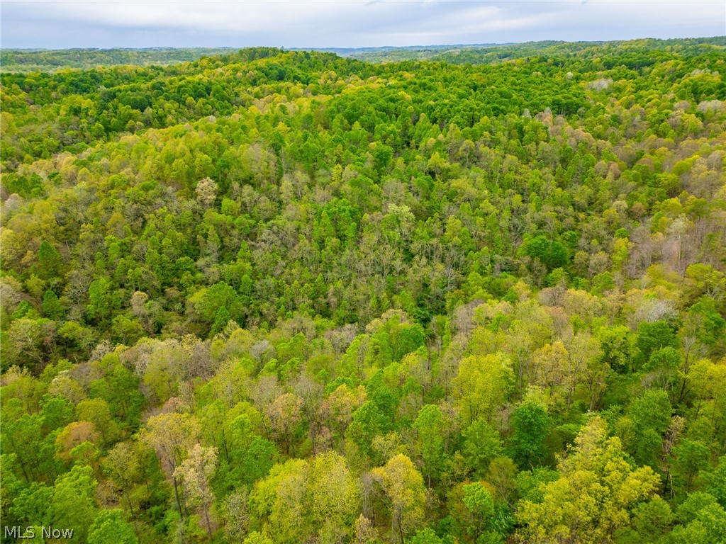 37795 Sheep Skin Ridge Lower Salem OH 45745