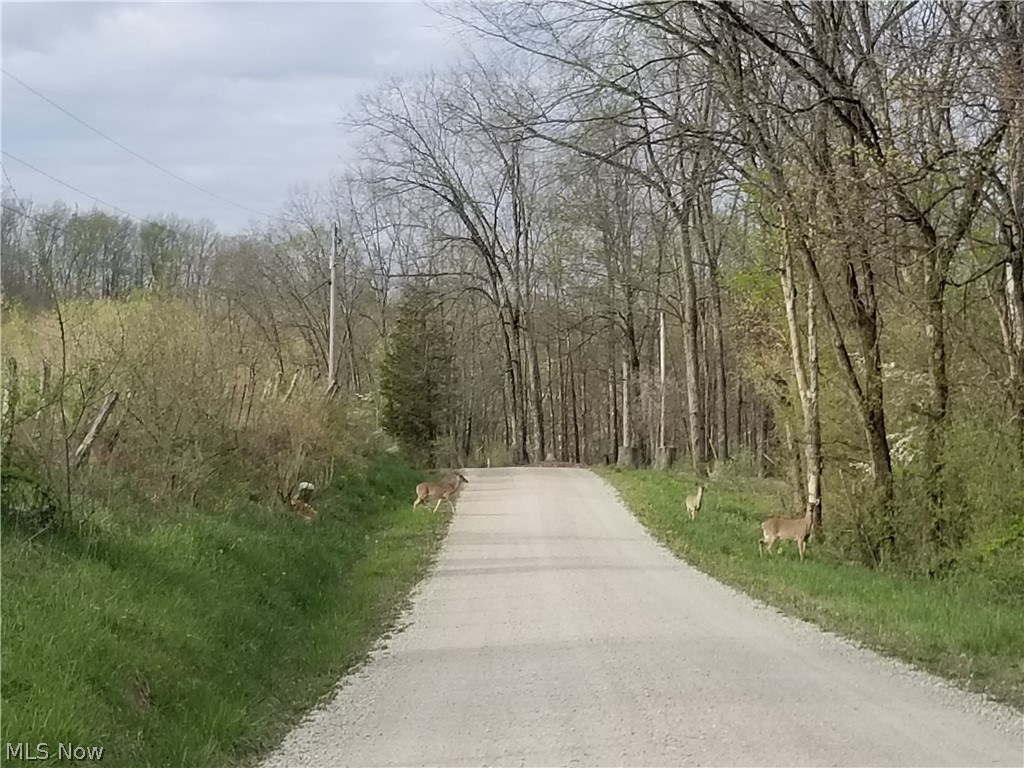 37795 Sheep Skin Ridge Lower Salem OH 45745