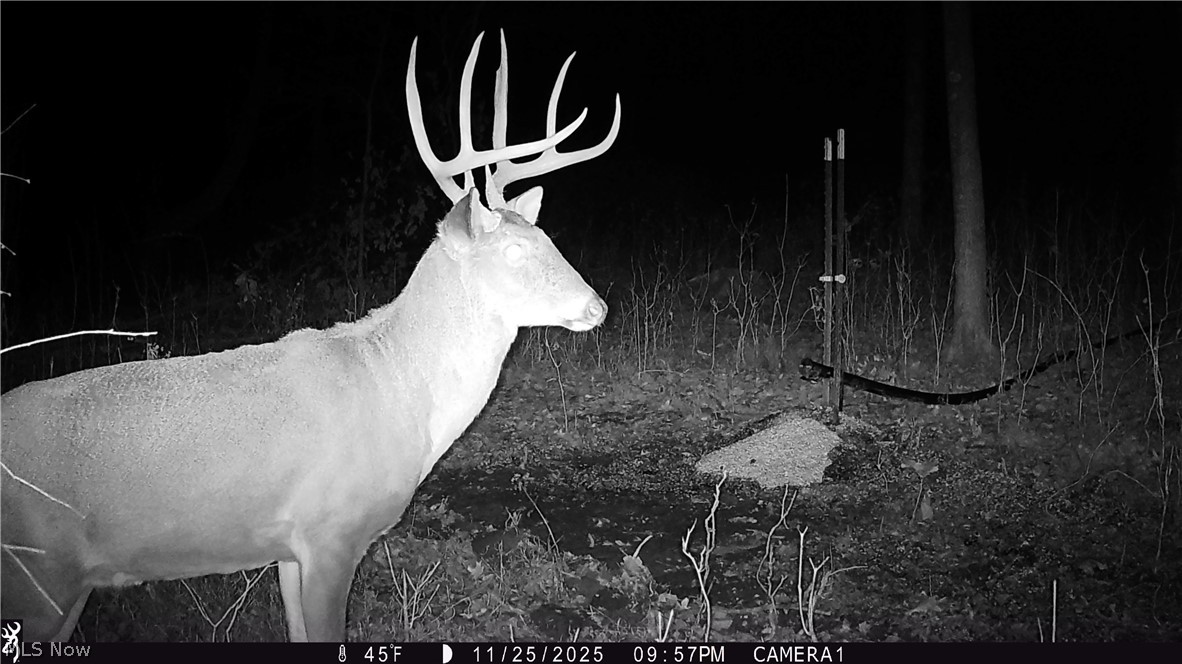 37795 Sheep Skin Ridge Lower Salem OH 45745