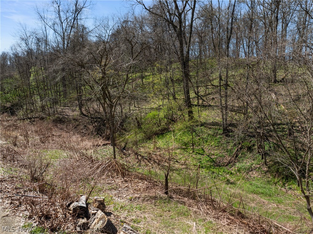 115 Township Road 501 Mingo Junction OH 43938