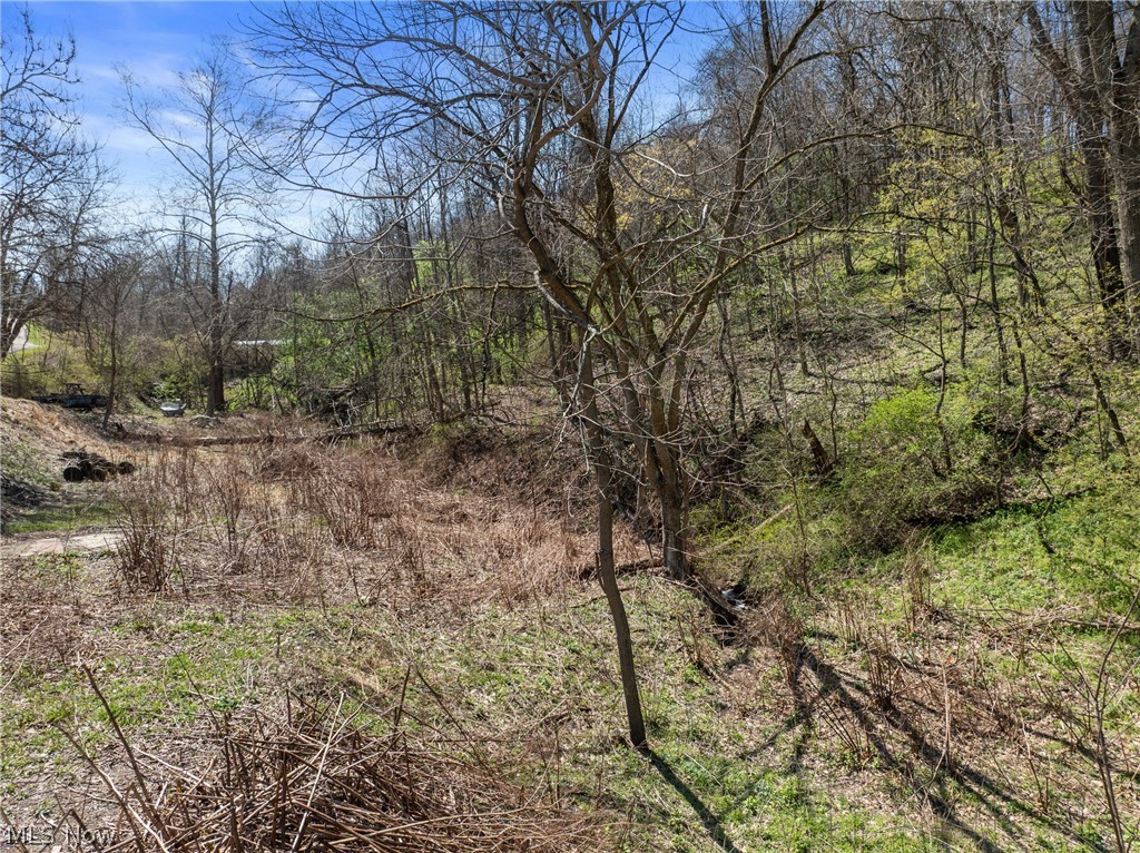 115 Township Road 501 Mingo Junction OH 43938
