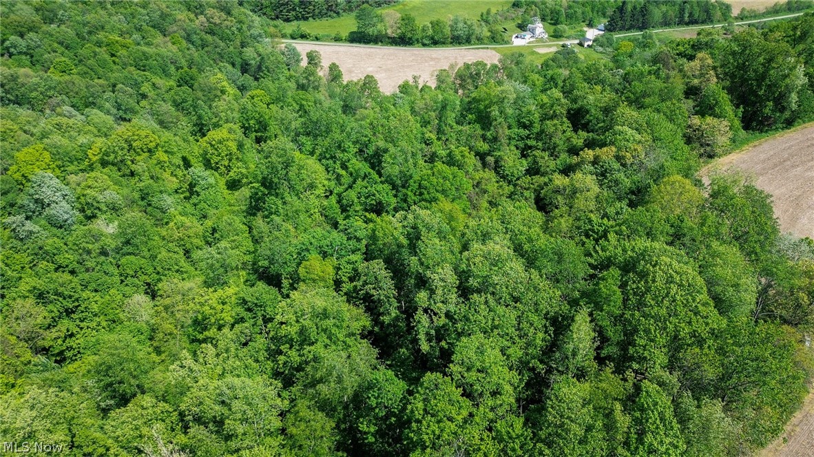 Degen Road SW Stone Creek OH 43840