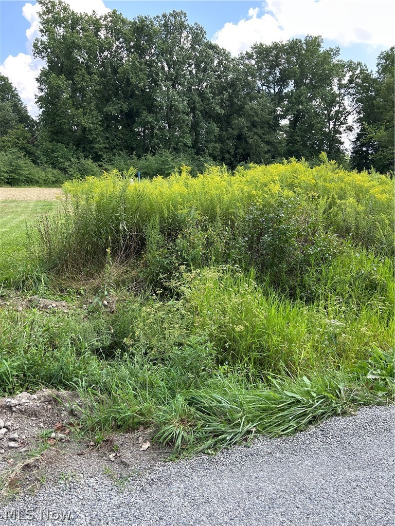 0 Templeton Road NW Warren OH 44481