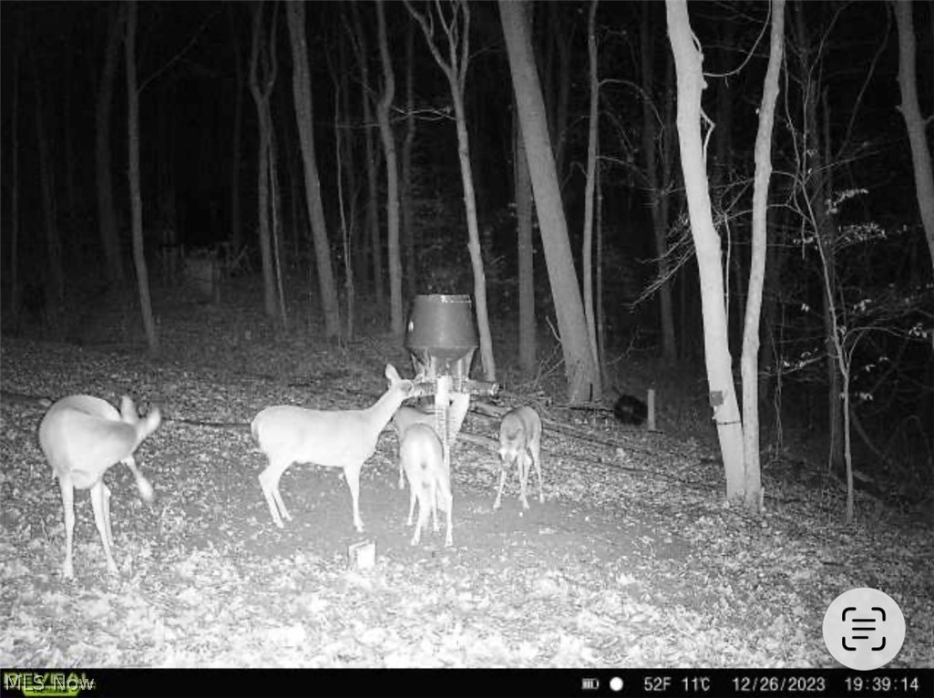 Tatman Road Uhrichsville OH 44683
