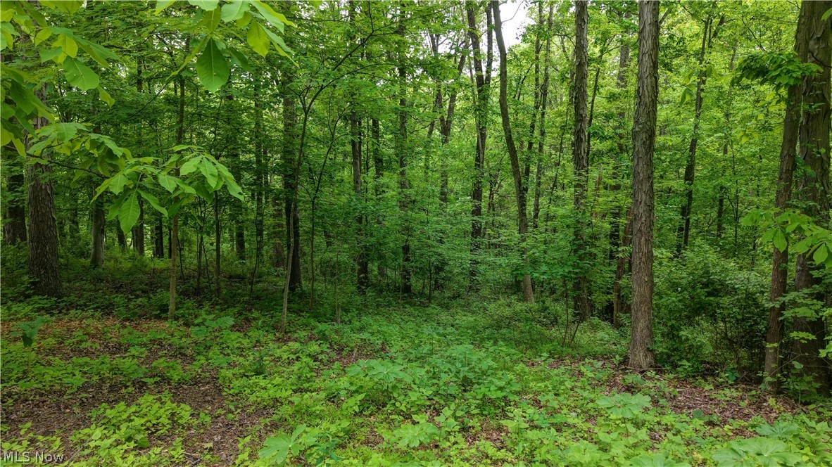 Tatman Road Uhrichsville OH 44683