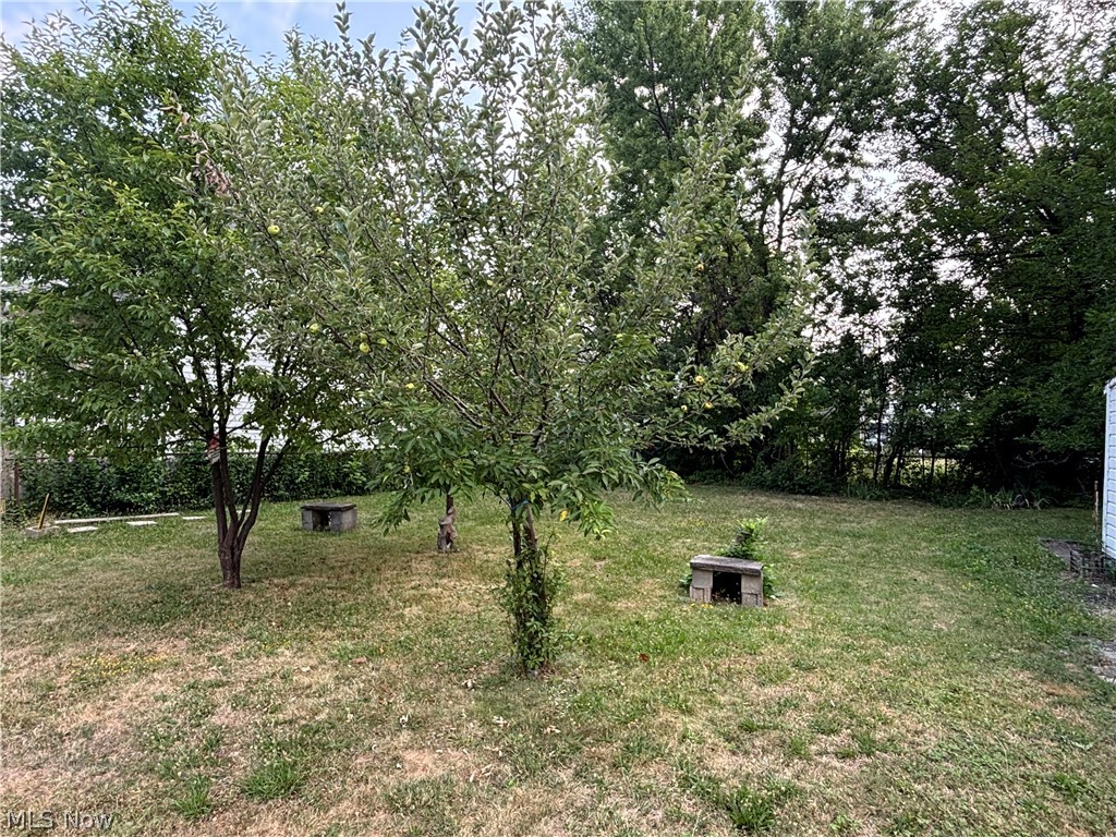 829 Whitcomb Road Cleveland OH 44110