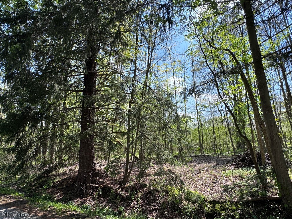 11664 Chestnutdale Road Chardon OH 44024