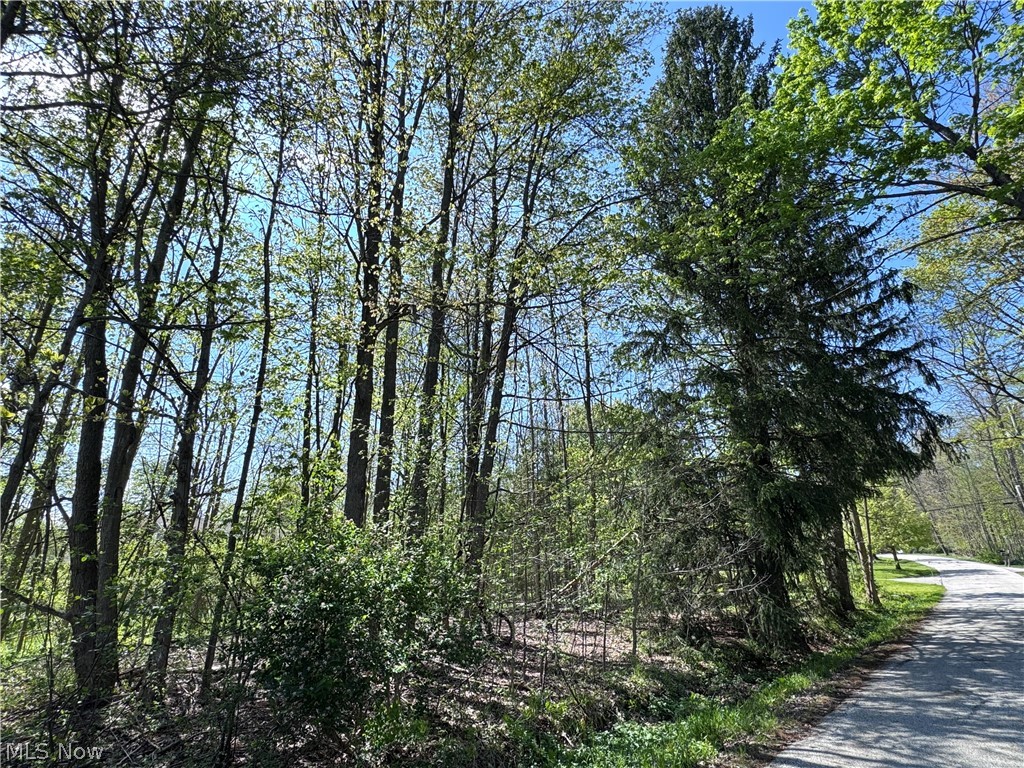 11664 Chestnutdale Road Chardon OH 44024
