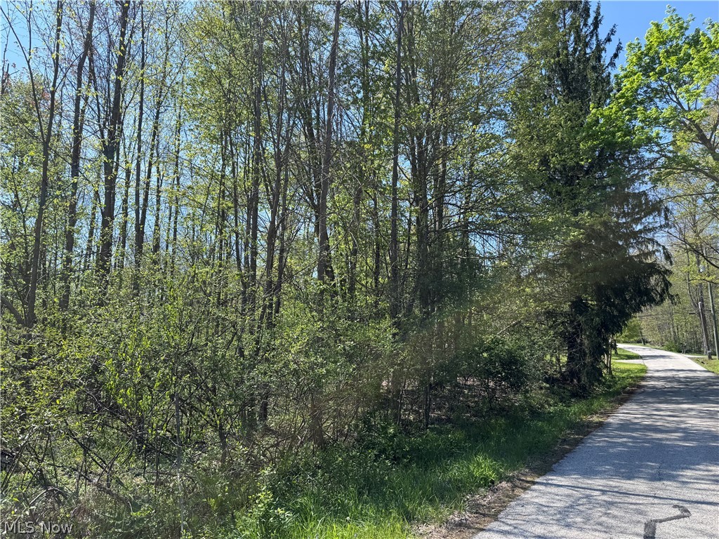 11664 Chestnutdale Road Chardon OH 44024