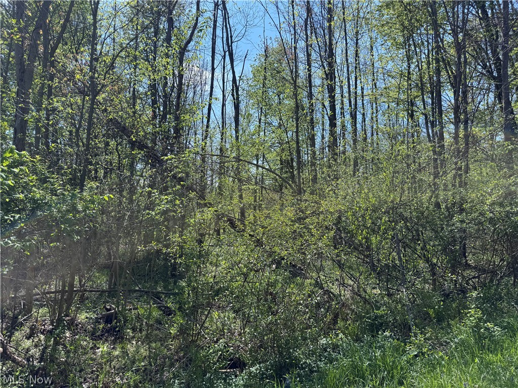 11664 Chestnutdale Road Chardon OH 44024