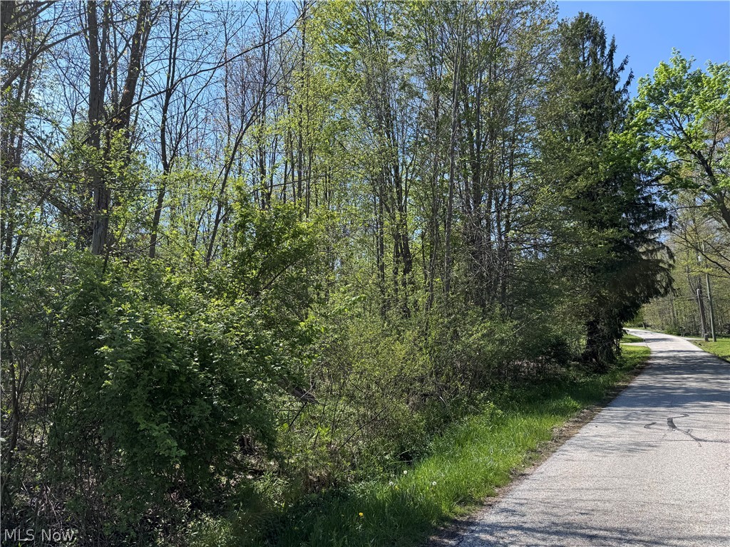 11664 Chestnutdale Road Chardon OH 44024