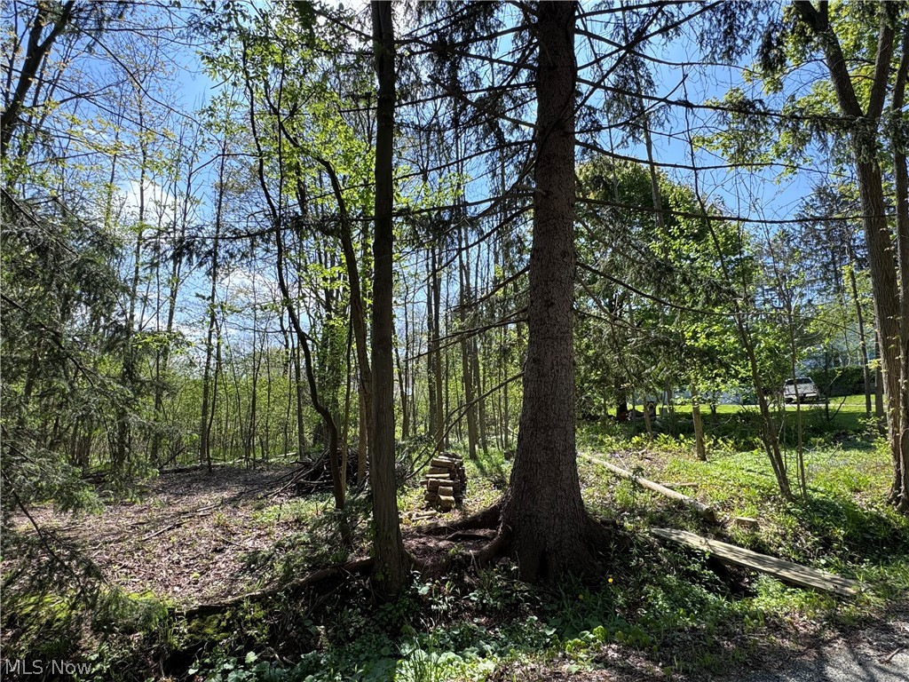 11664 Chestnutdale Road Chardon OH 44024