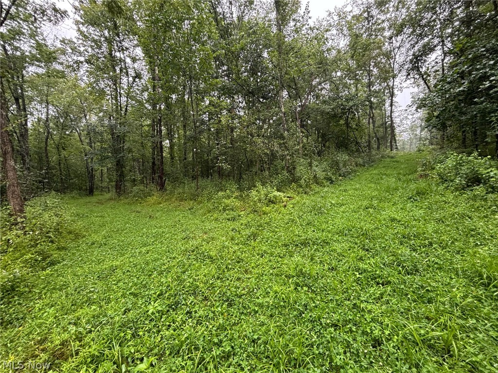 Pacific Road NE Carrollton OH 44615