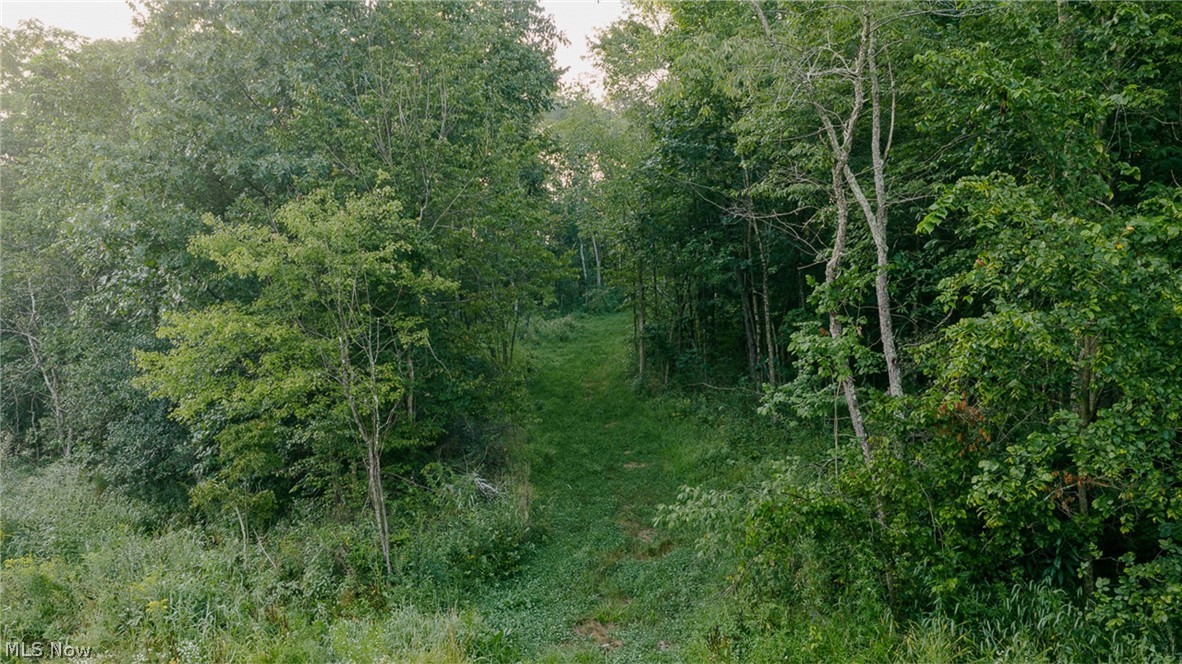 Pacific Road NE Carrollton OH 44615