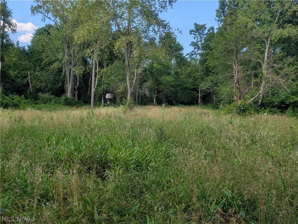 5045 Tract C E Reinersville Road Mcconnelsville OH 45786