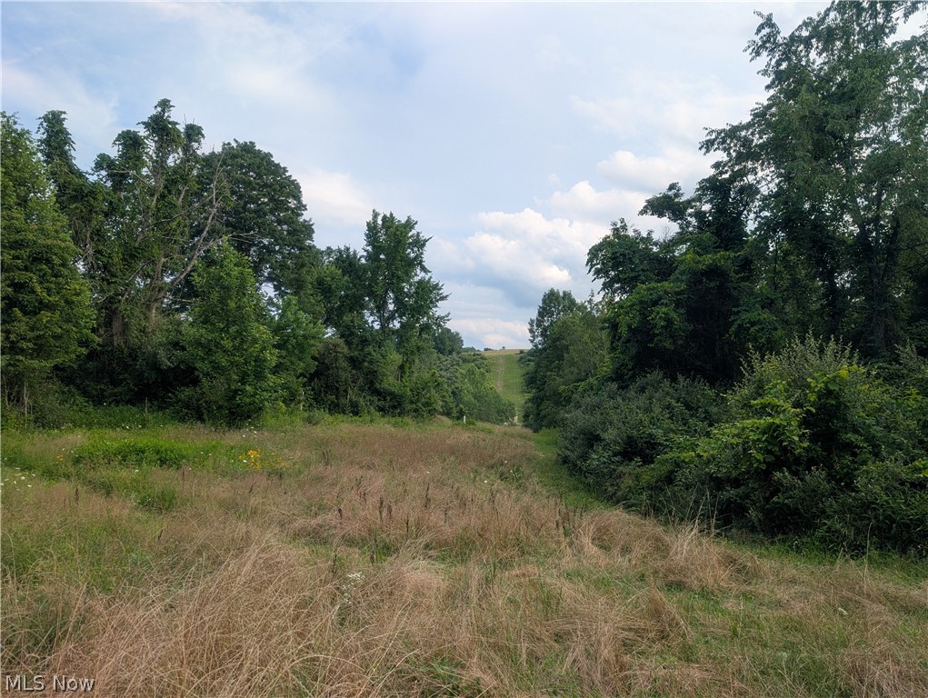 5045 Tract C E Reinersville Road Mcconnelsville OH 45786
