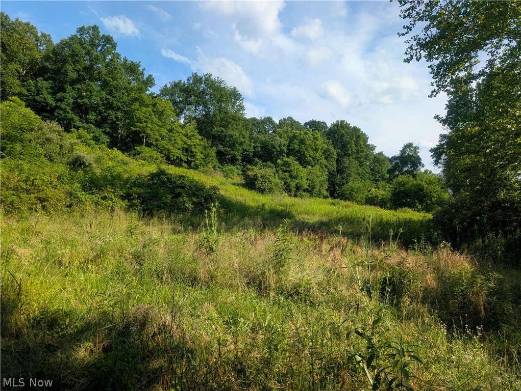 5045 Tract C E Reinersville Road Mcconnelsville OH 45786