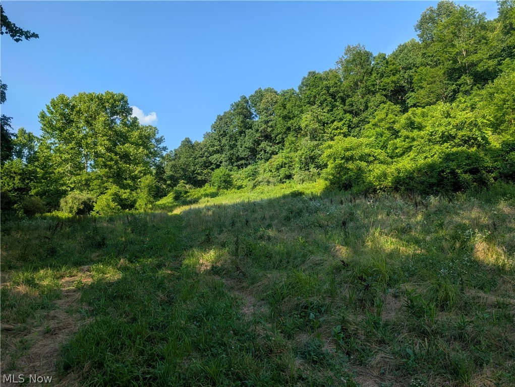 5045 Tract C E Reinersville Road Mcconnelsville OH 45786