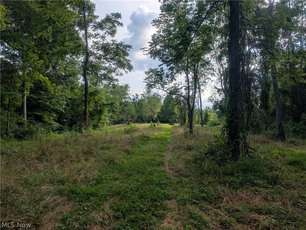 5045 Tract C E Reinersville Road Mcconnelsville OH 45786