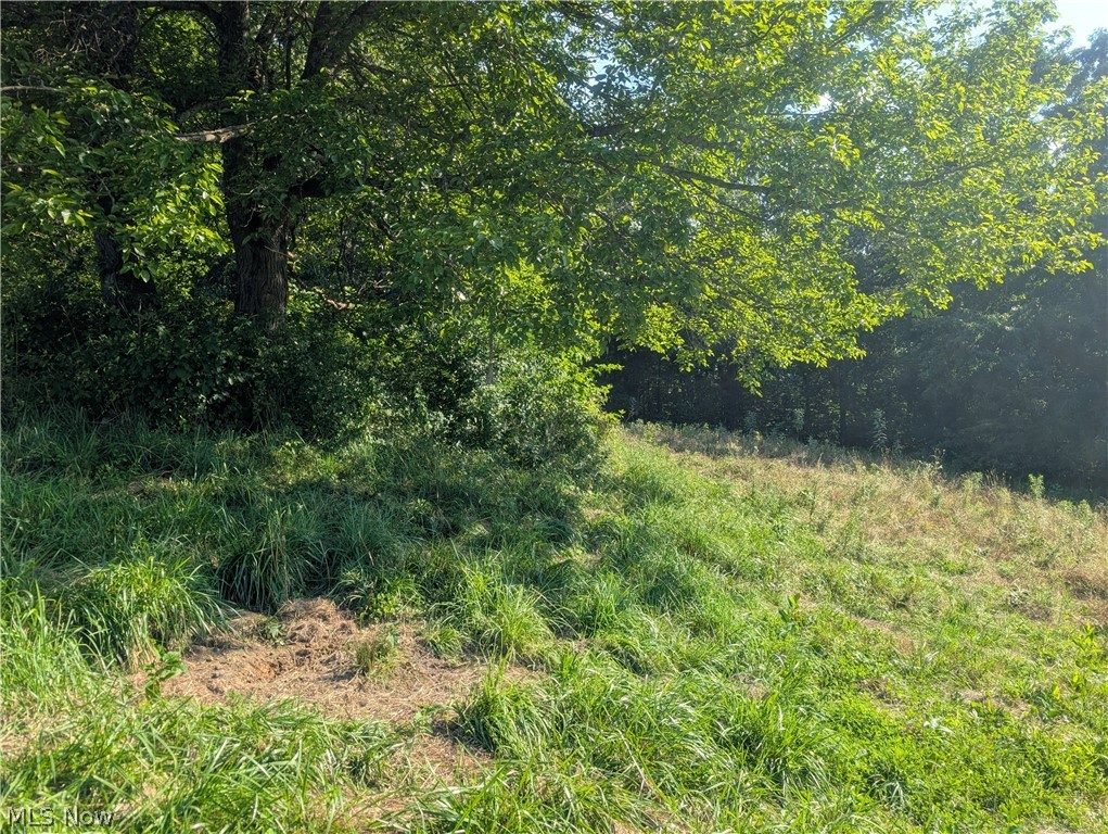 5045 Tract C E Reinersville Road Mcconnelsville OH 45786