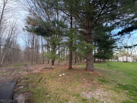 Willow Street Solon OH 44139