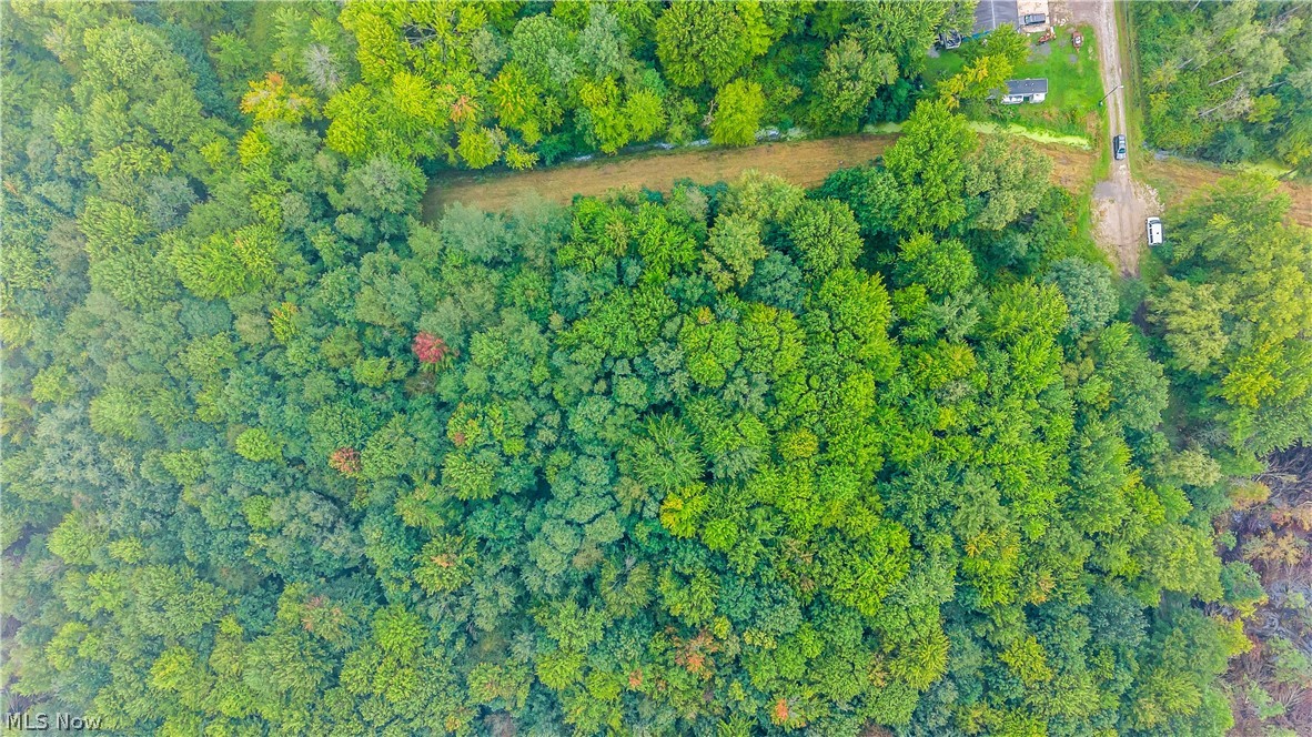E View Drive North Kingsville OH 44030