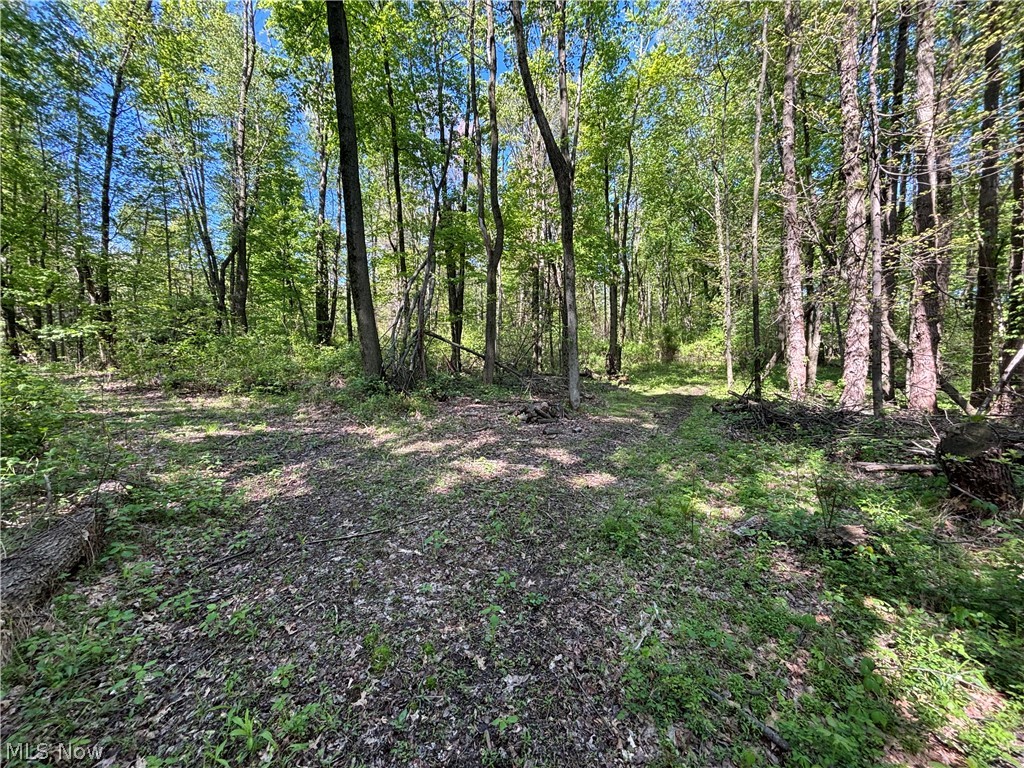 6060 Dalton Fox Lake Road North Lawrence OH 44666