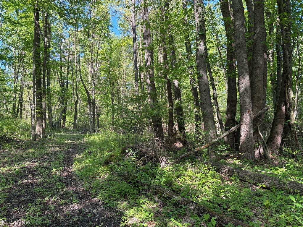 6060 Dalton Fox Lake Road North Lawrence OH 44666