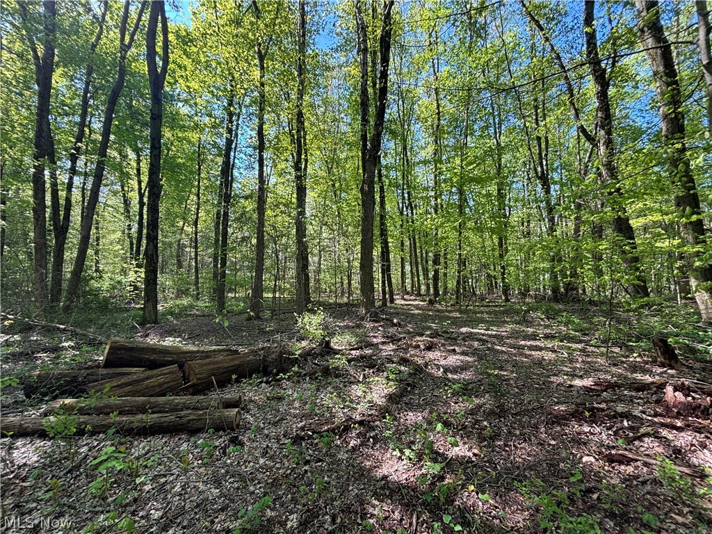 6060 Dalton Fox Lake Road North Lawrence OH 44666