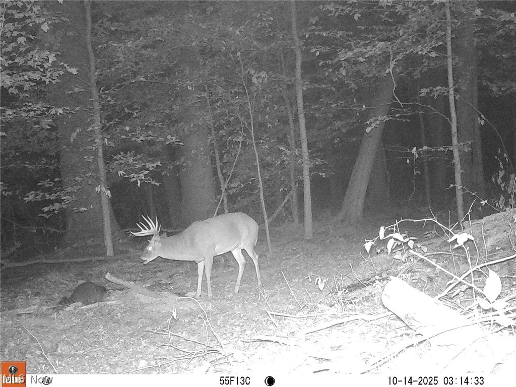6060 Dalton Fox Lake Road North Lawrence OH 44666