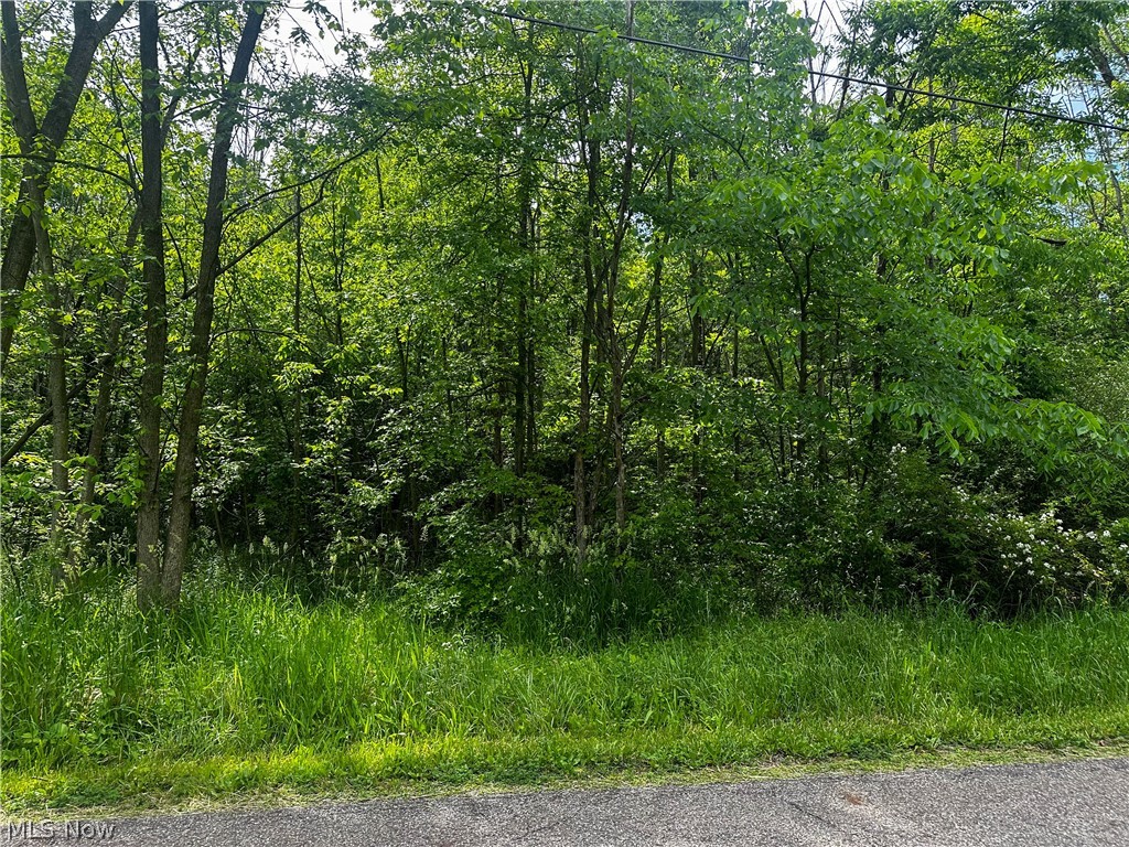 2375 Howland Wilson Road NE Cortland OH 44410