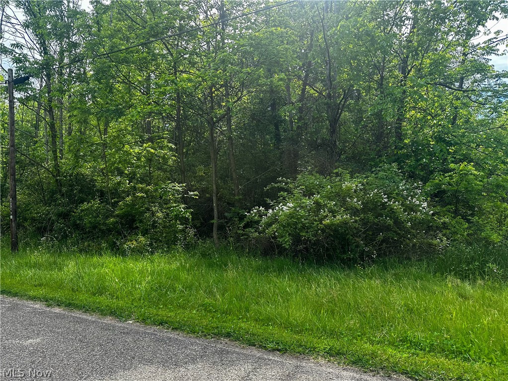 2375 Howland Wilson Road NE Cortland OH 44410