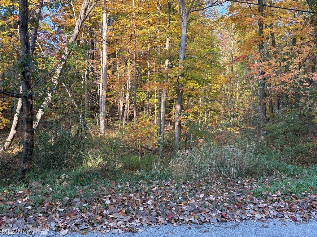Vl Glenstone Drive Kirtland OH 44094