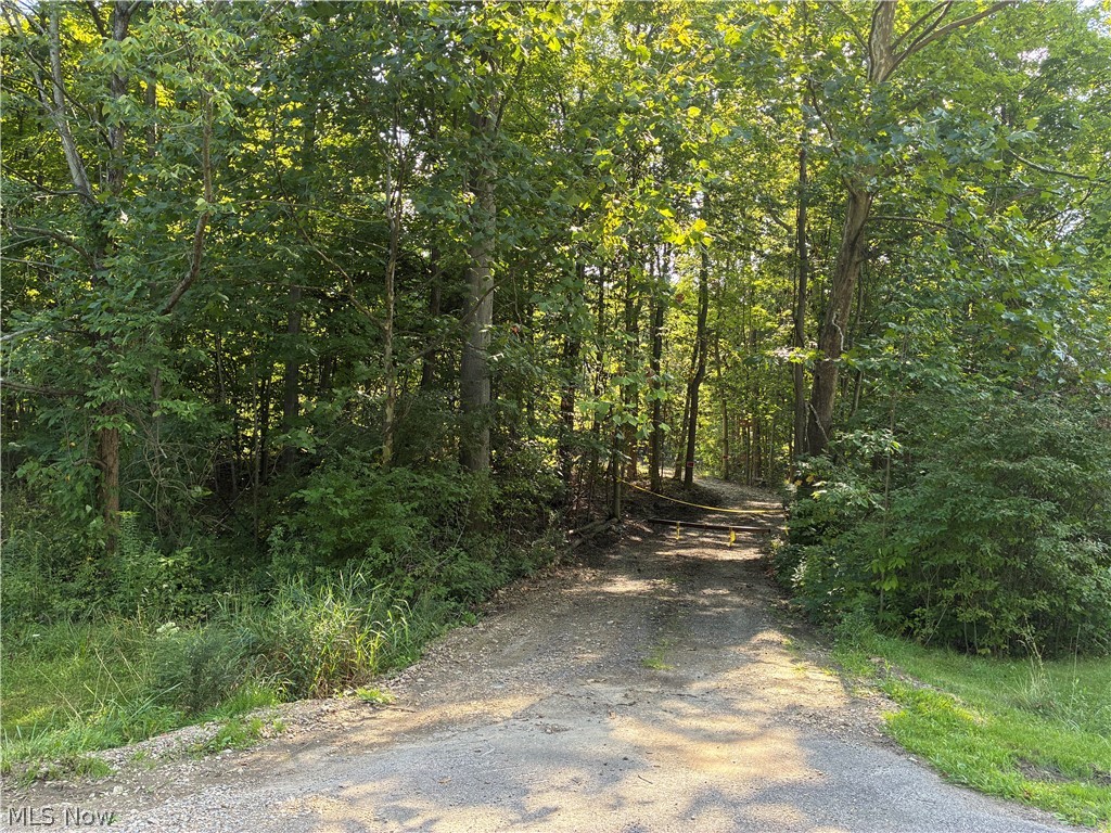 11500 Foxhaven Drive Chesterland OH 44026