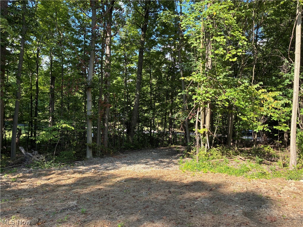 11500 Foxhaven Drive Chesterland OH 44026