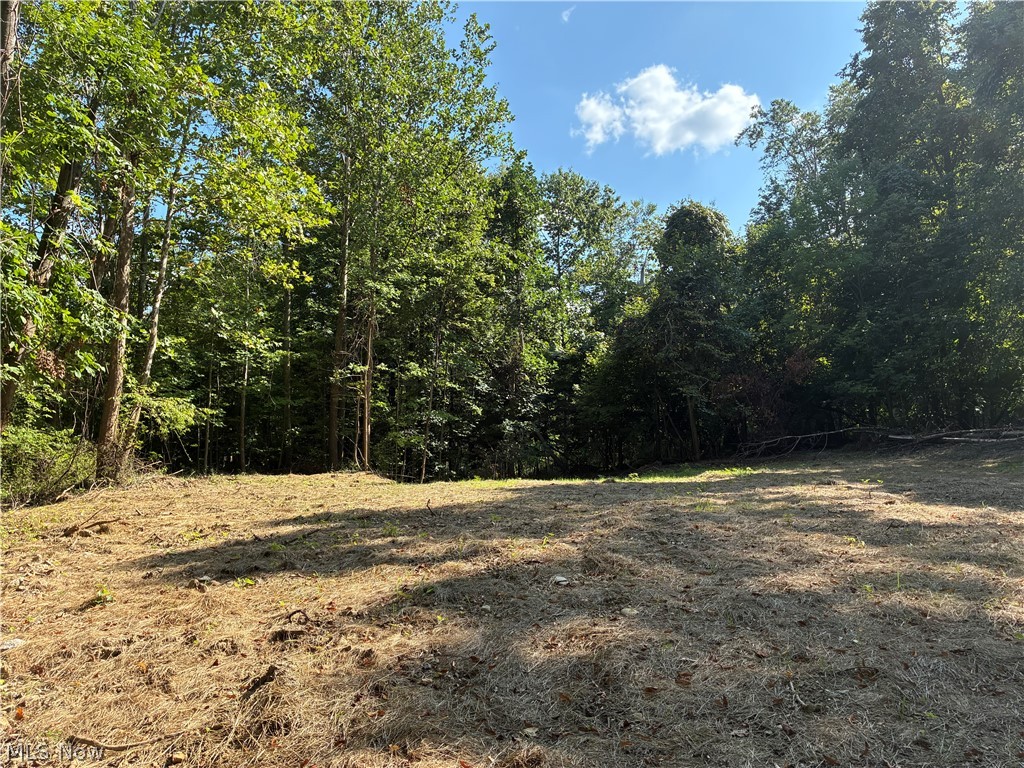 11500 Foxhaven Drive Chesterland OH 44026