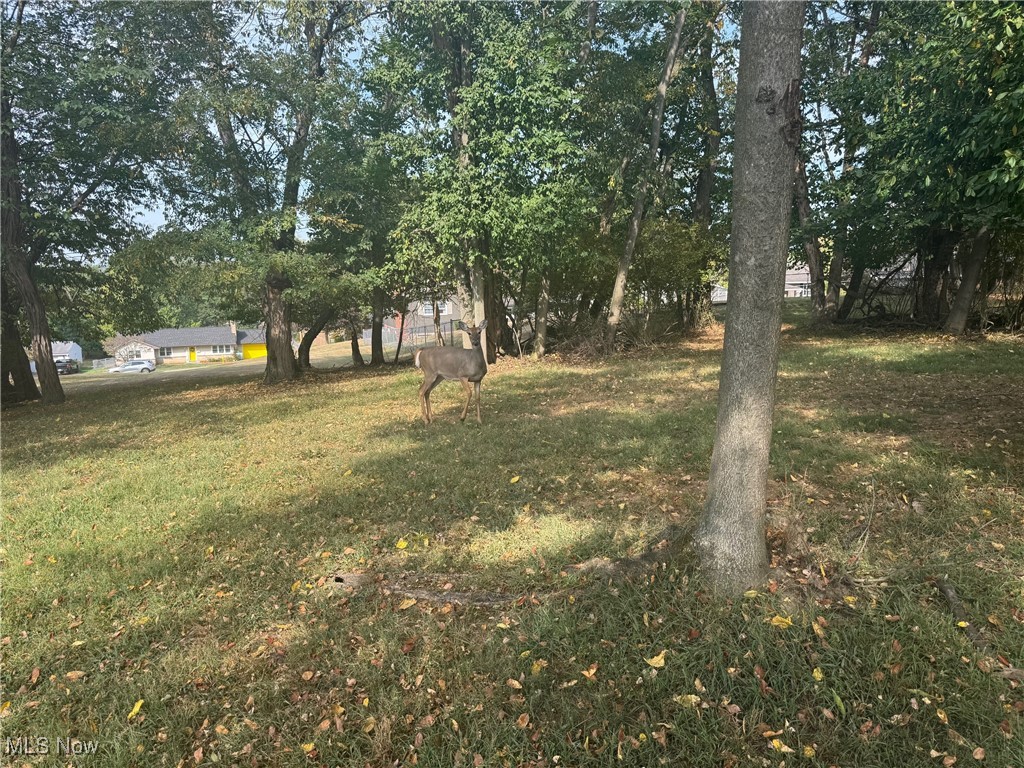 Harding Rd- 36b Zanesville OH 43701