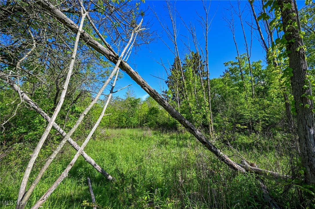 11861 Edgerton Road North Royalton OH 44133