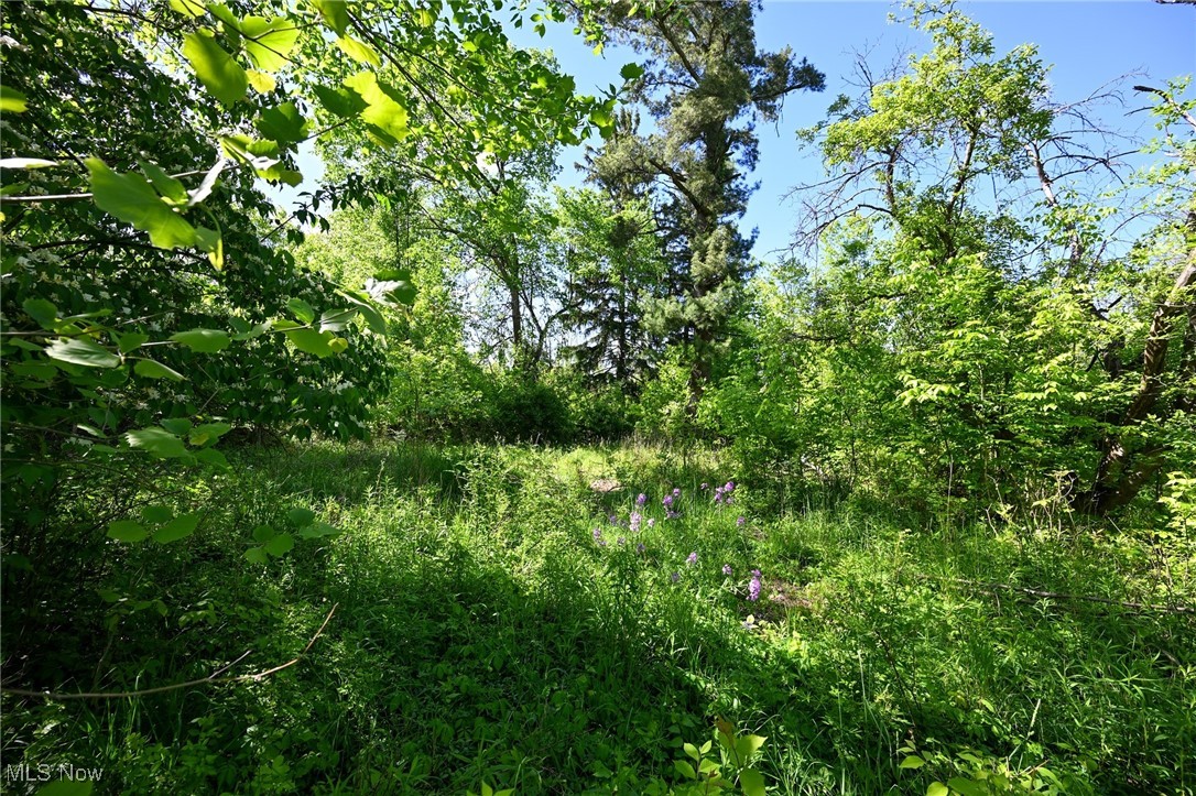 11861 Edgerton Road North Royalton OH 44133