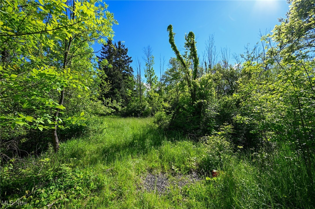 11861 Edgerton Road North Royalton OH 44133