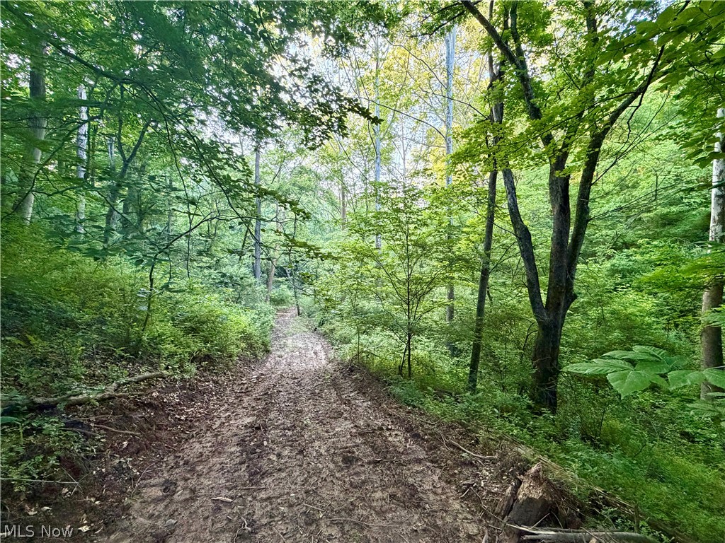 Sykes Ridge Road Clarington OH 43915