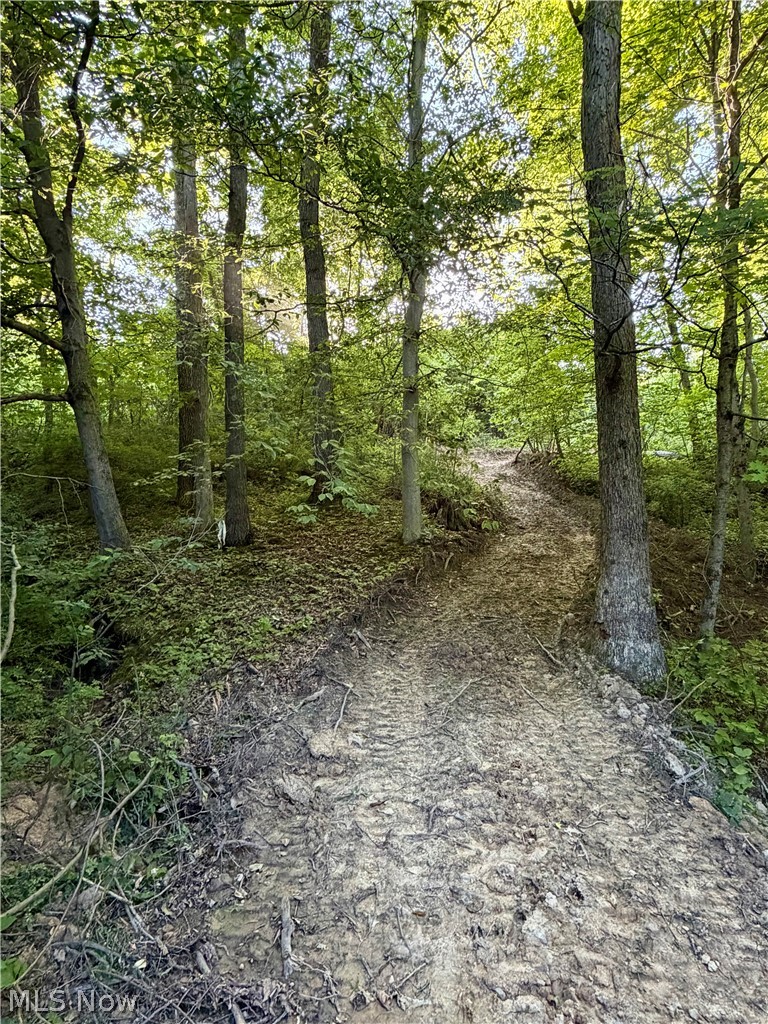 Sykes Ridge Road Clarington OH 43915