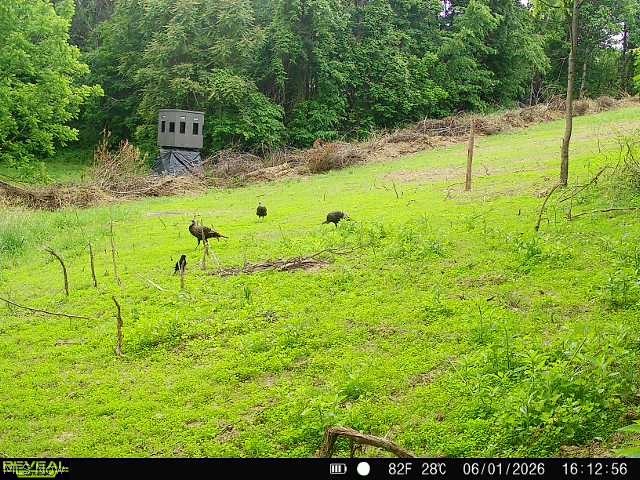 Sykes Ridge Road Clarington OH 43915