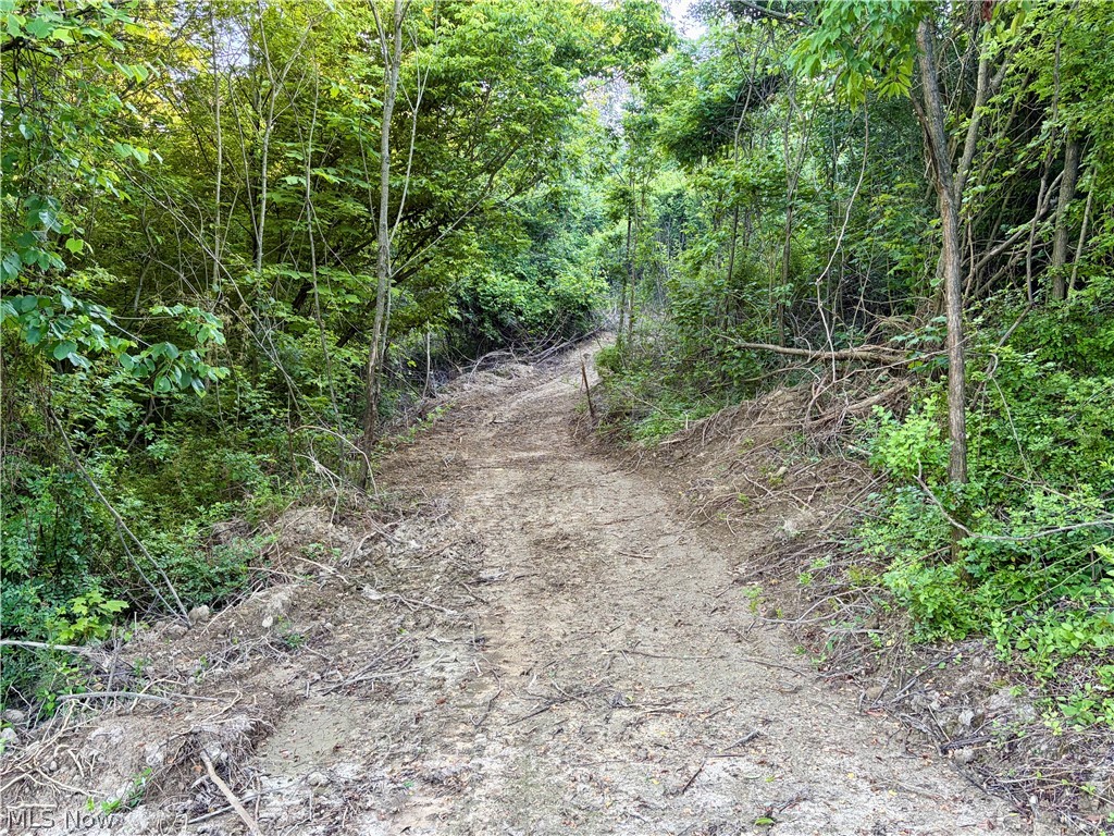 Sykes Ridge Road Clarington OH 43915